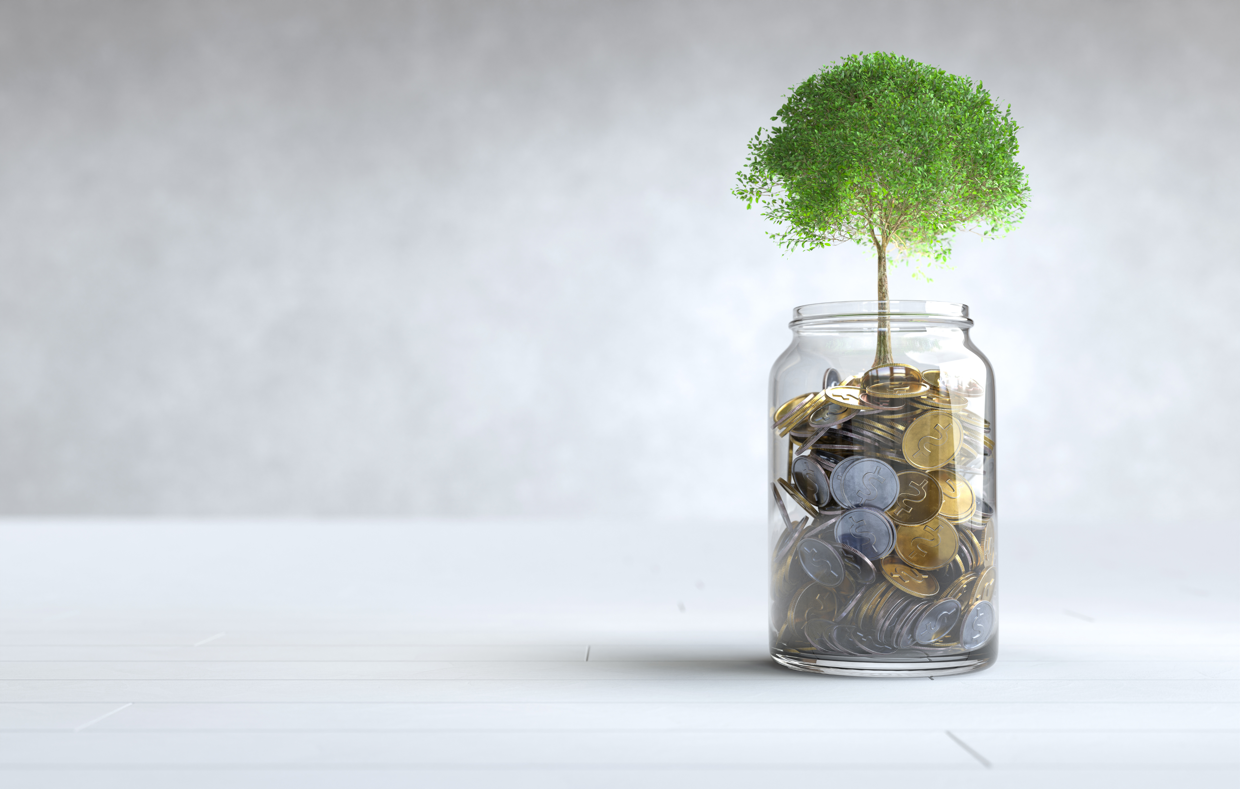 Afaq Al Barakha Investment