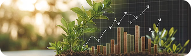 Growth Focused Solutions